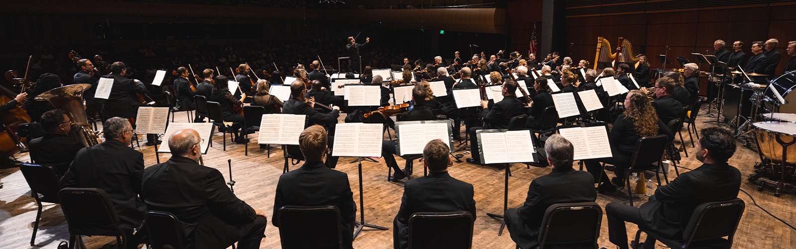 The orchestra and audience at a classical series concert
